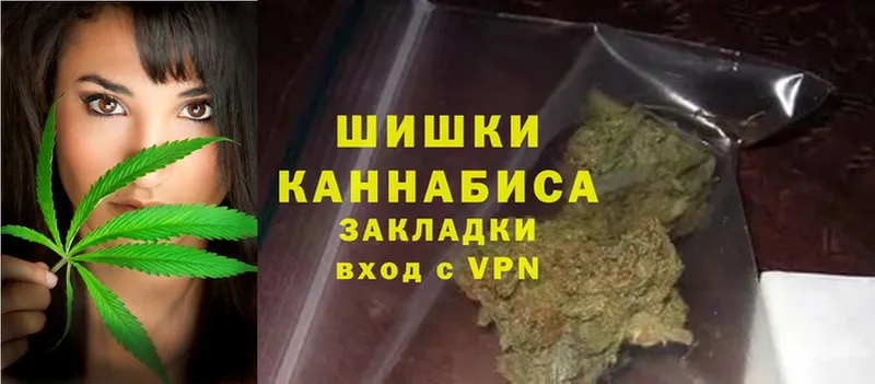 купить наркоту  Лосино-Петровский  Шишки марихуана White Widow 